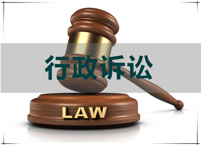 代理行政诉讼